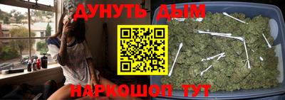 a pvp Кингисепп