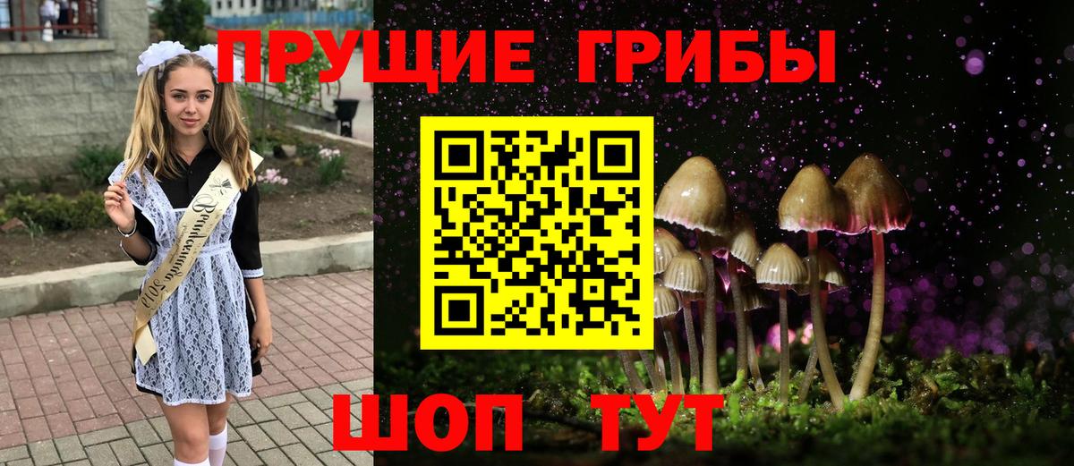 Псилоцибиновые грибы мухоморы  Вход с VPN  Кувандык 