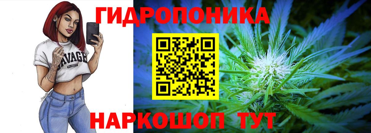 Кувандык  Конопля VHQ  Марихуана Amnesia  Шишки марихуана Bruce Banner  Канабис LSD WEED  Вход с VPN 